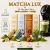 Matcha-Lux Matcha Tea Ízválogatás- Kedvezményes csomag ( Dolce Gusto  kompatibilis, 4 csomag- 32 db. kapszula) 